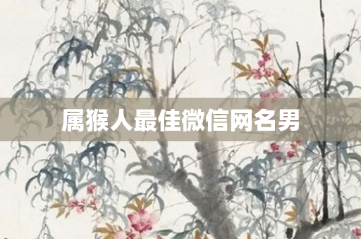 属猴人更佳微信网名男