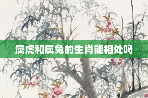 属虎和属兔的生肖能相处吗
