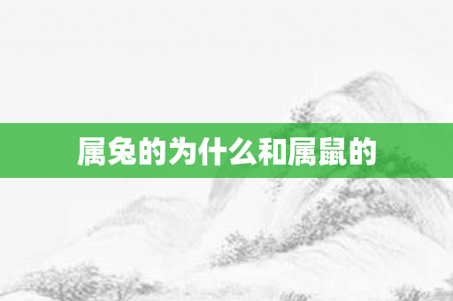 属兔的为什么和属鼠的