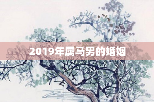 2019年属马男的婚姻
