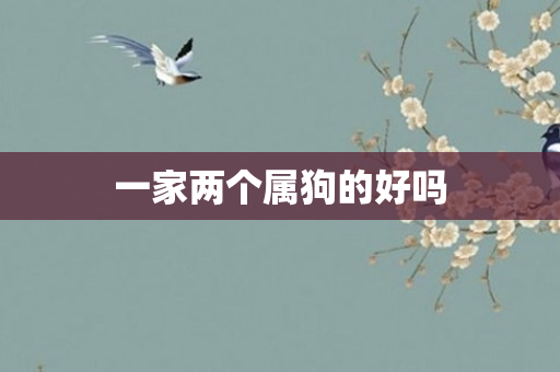 一家两个属狗的好吗