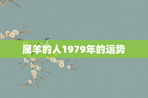 属羊的人1979年的运势