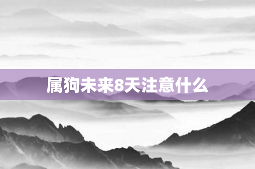 属狗未来8天注意什么