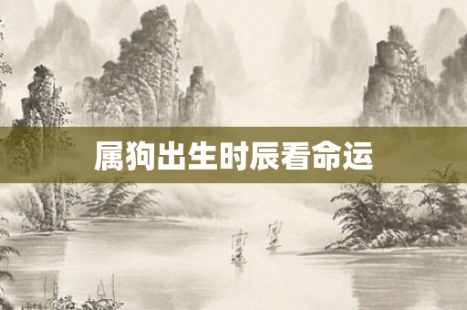 属狗出生时辰看命运