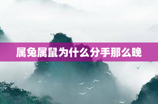 属兔属鼠为什么分手那么晚