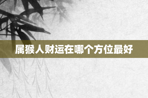 属猴人财运在哪个方位更好