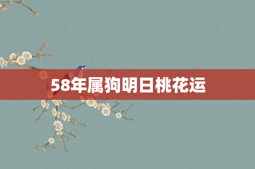 58年属狗明日桃花运