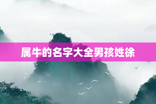 属牛的名字大全男孩姓徐