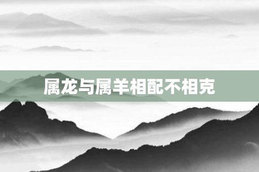 属龙与属羊相配不相克