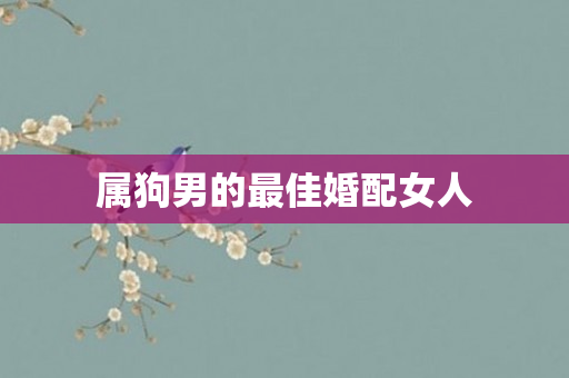 属狗男的更佳婚配女人