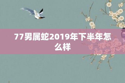 77男属蛇2019年下半年怎么样