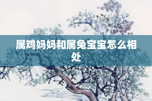 属鸡妈妈和属兔宝宝怎么相处