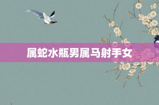 属蛇水瓶男属马射手女