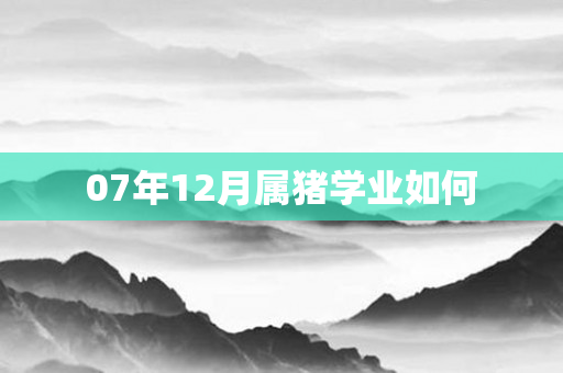 07年12月属猪学业如何