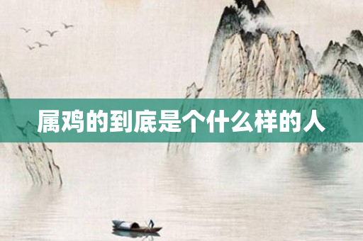 属鸡的到底是个什么样的人