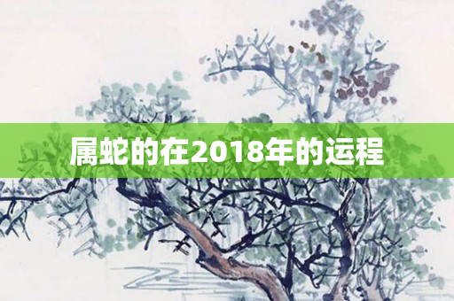 属蛇的在2018年的运程