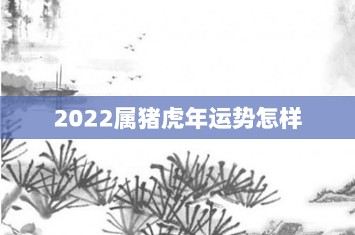 2022属猪虎年运势怎样