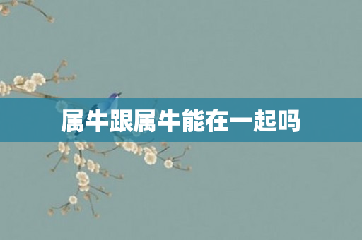 属牛跟属牛能在一起吗