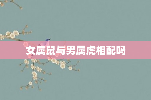 女属鼠与男属虎相配吗