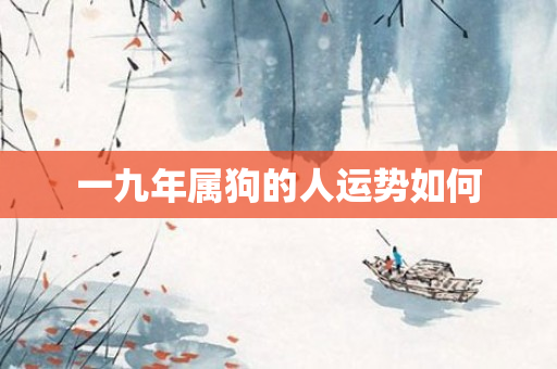 一九年属狗的人运势如何