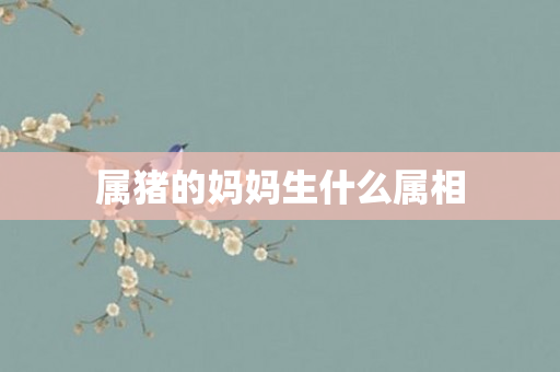 属猪的妈妈生什么属相