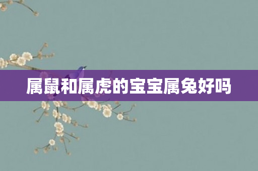 属鼠和属虎的宝宝属兔好吗