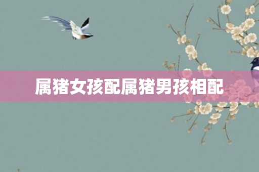 属猪女孩配属猪男孩相配