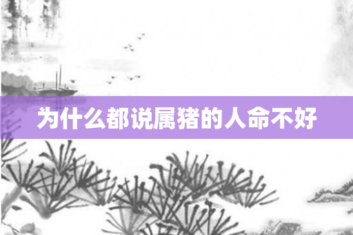 为什么都说属猪的人命不好