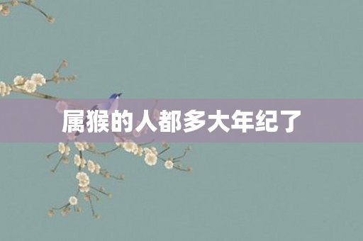 属猴的人都多大年纪了