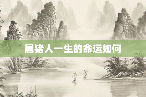 属猪人一生的命运如何