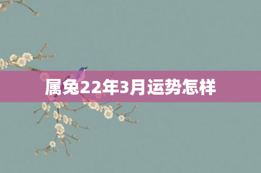 属兔22年3月运势怎样