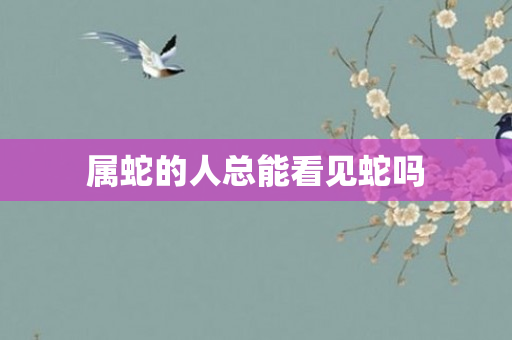 属蛇的人总能看见蛇吗