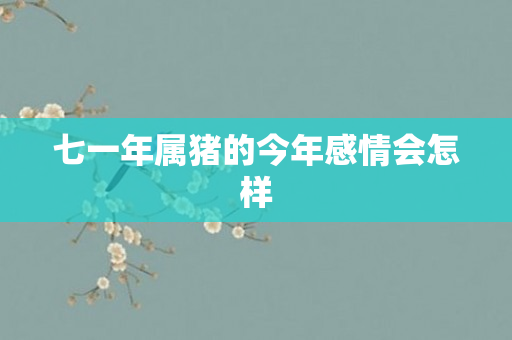 七一年属猪的今年感情会怎样