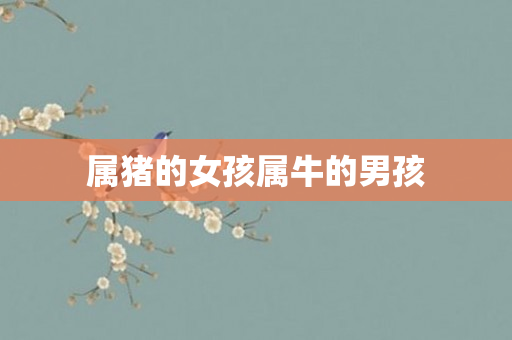 属猪的女孩属牛的男孩