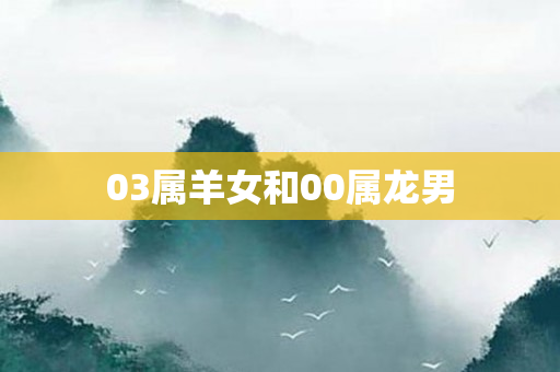03属羊女和00属龙男