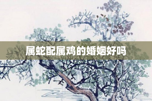 属蛇配属鸡的婚姻好吗