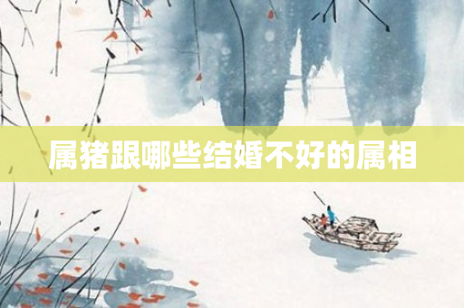 属猪跟哪些结婚不好的属相