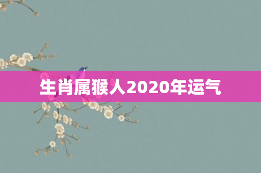 生肖属猴人2020年运气