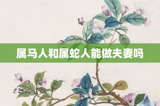 属马人和属蛇人能做夫妻吗