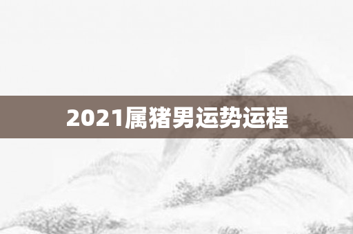 2021属猪男运势运程