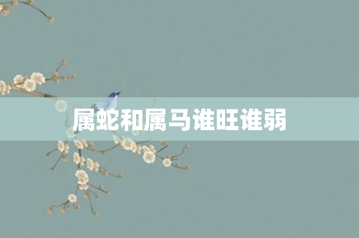属蛇和属马谁旺谁弱