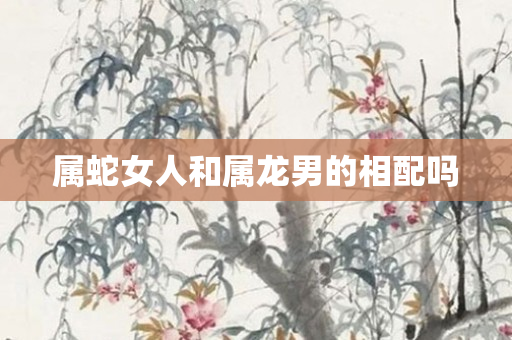 属蛇女人和属龙男的相配吗
