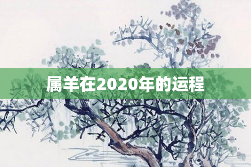 属羊在2020年的运程
