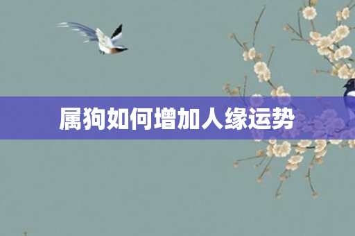 属狗如何增加人缘运势