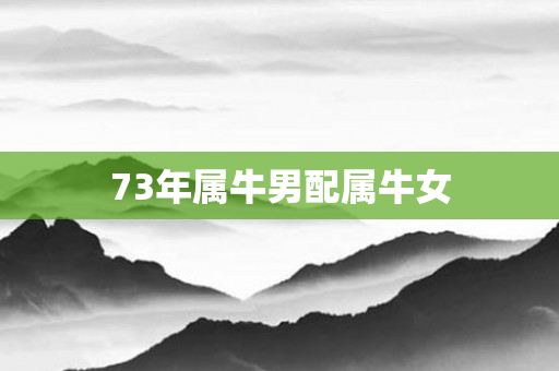 73年属牛男配属牛女