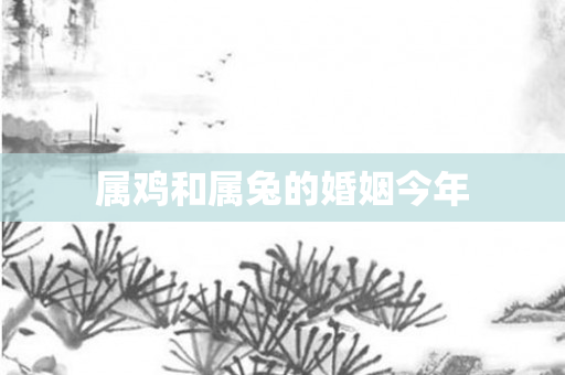 属鸡和属兔的婚姻今年