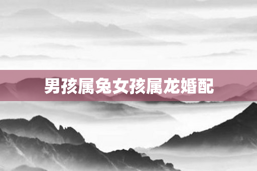 男孩属兔女孩属龙婚配