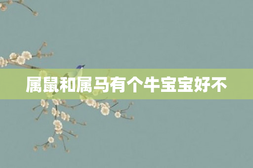 属鼠和属马有个牛宝宝好不