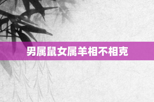 男属鼠女属羊相不相克
