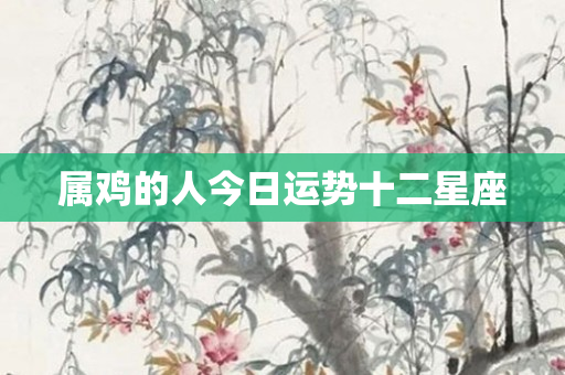 属鸡的人今日运势十二星座